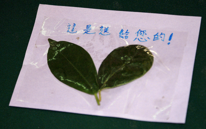 PICT0286