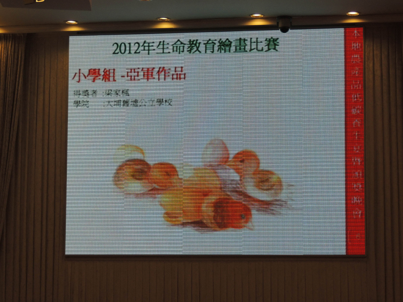 DSCN0088