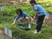 SAM_6353
