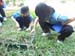SAM_6396