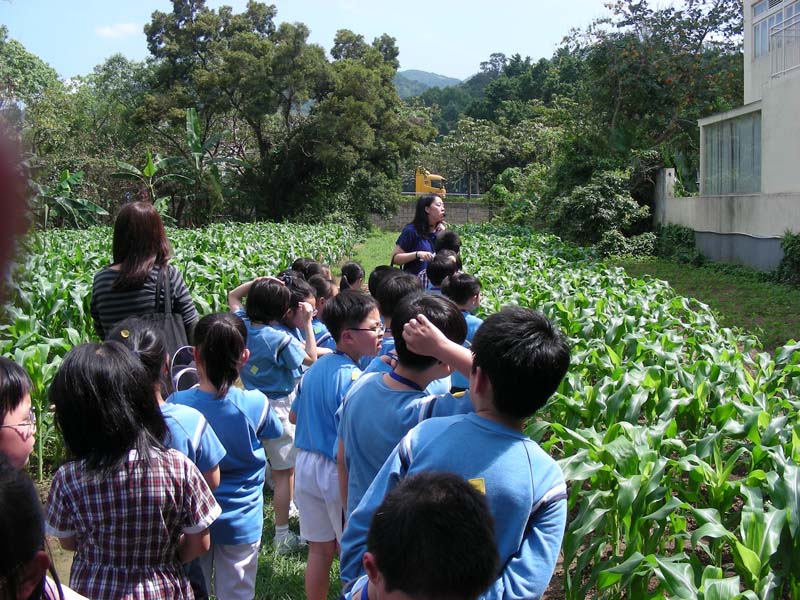 DSCN9923