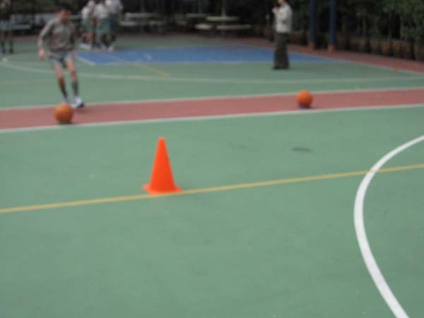 IMG_3390