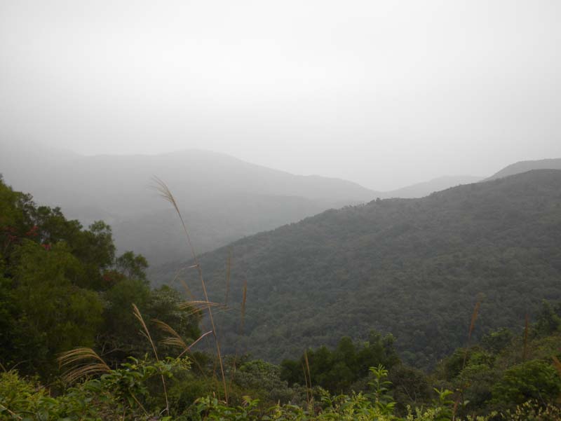 DSCN1953