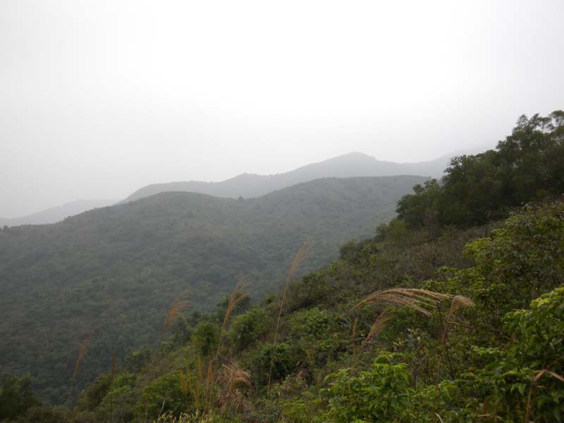 DSCN1954