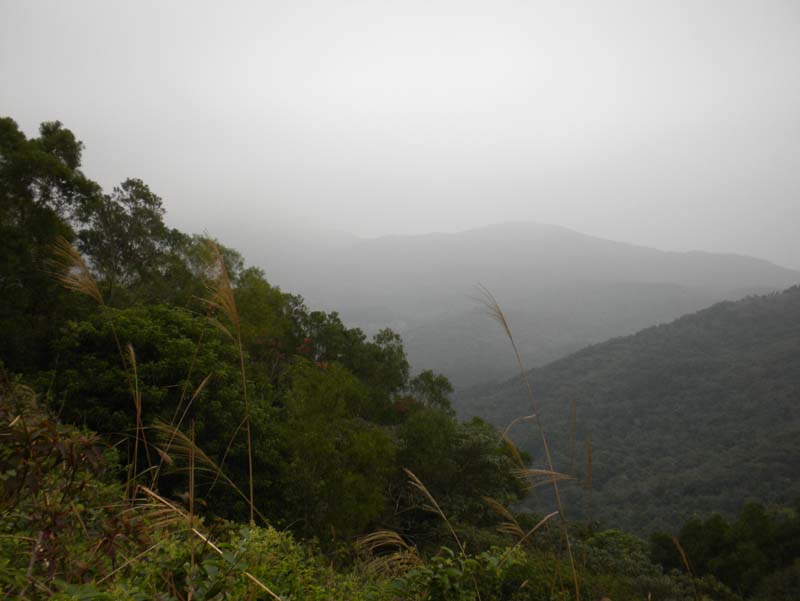 DSCN1955