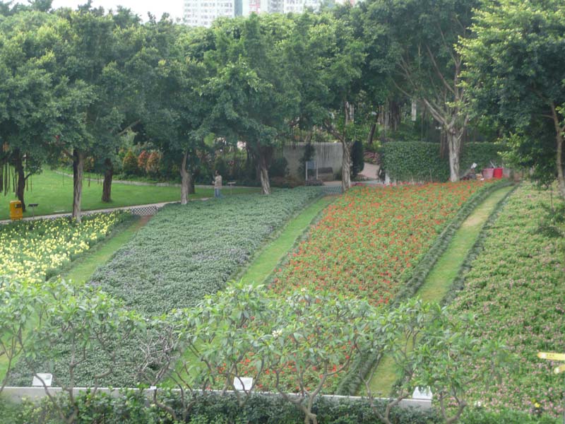 P1200296