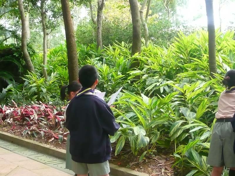 P1200335