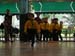 DSCN0194