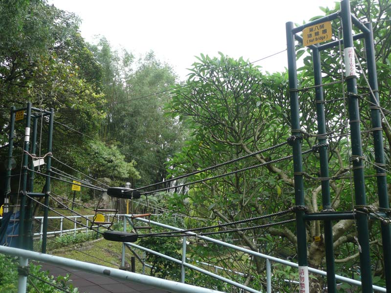 P1200555