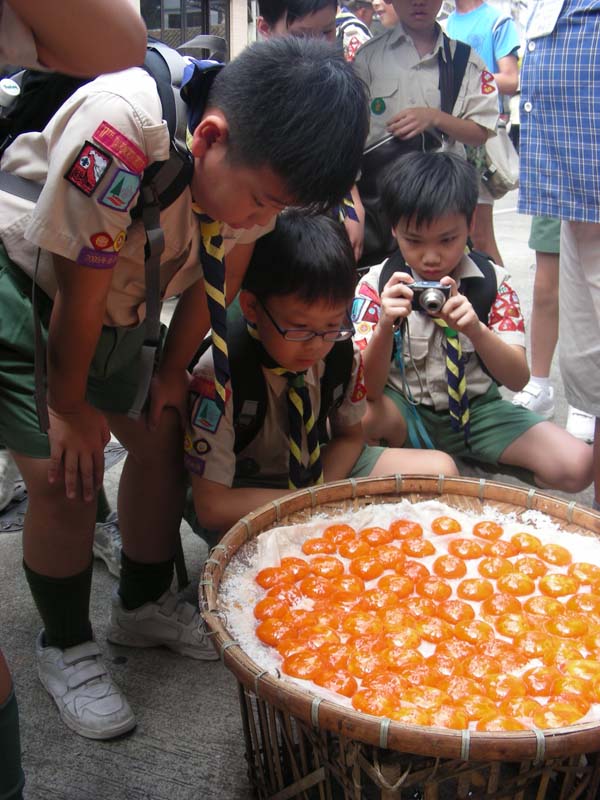 DSCN2104