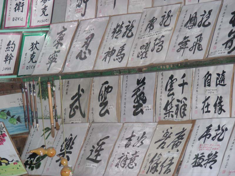 DSCN2111