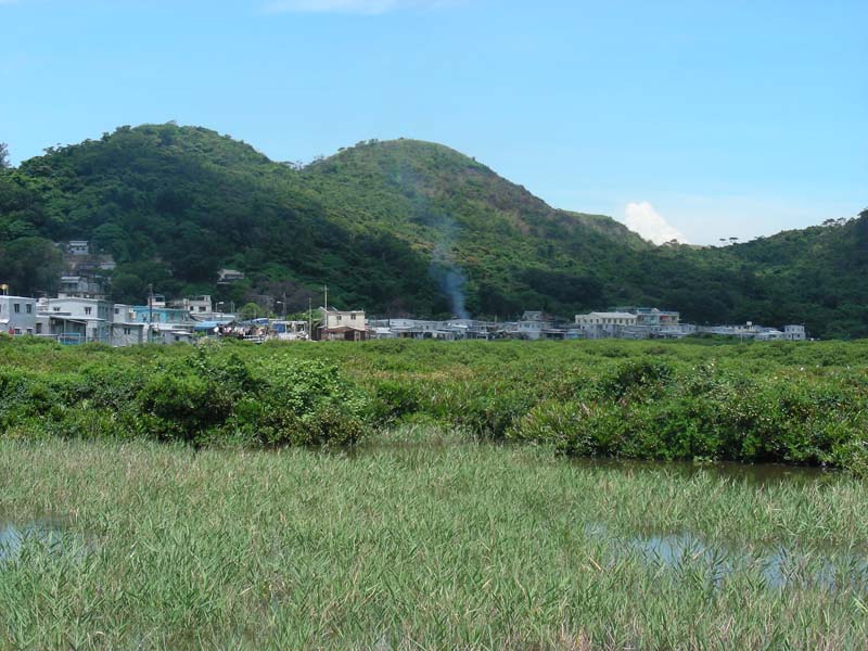 DSCN2165