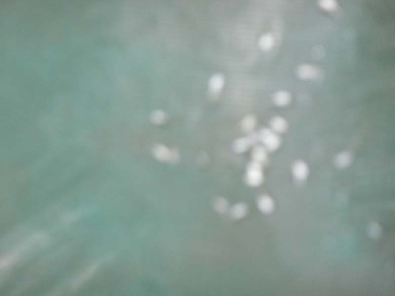 P1170944