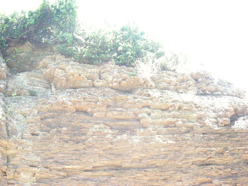 DSCN2479