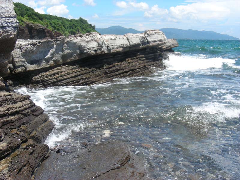 DSCN2505
