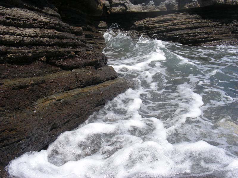DSCN2515
