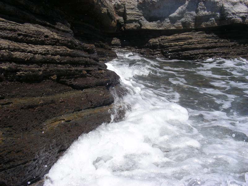 DSCN2517