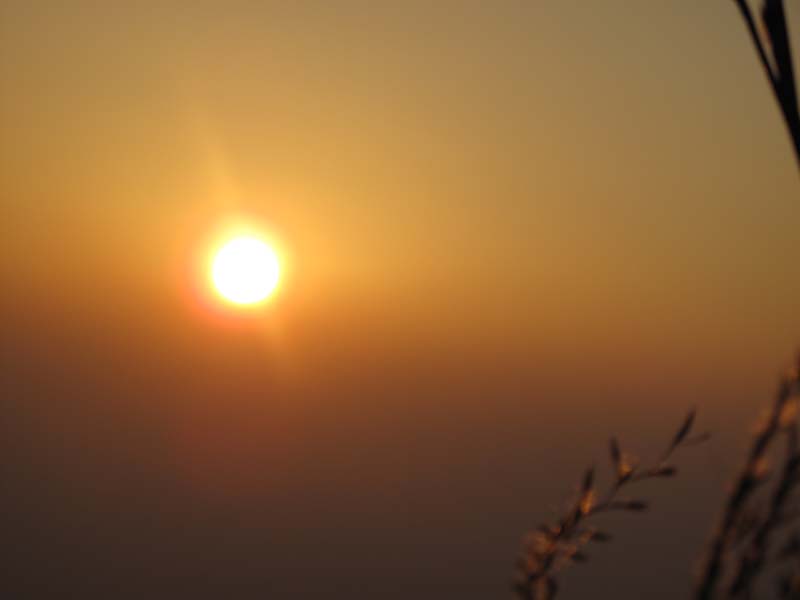 IMG_3410