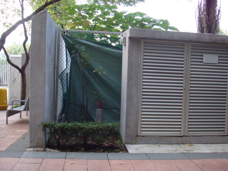 DSC03117
