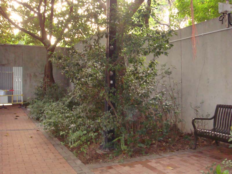 DSC03118