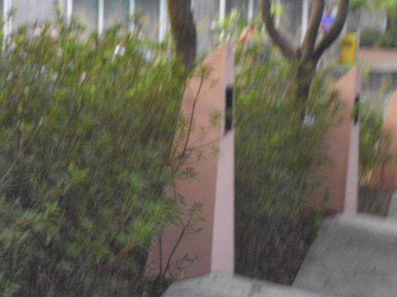 DSCI0308