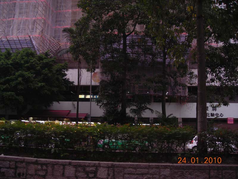 DSCN1985