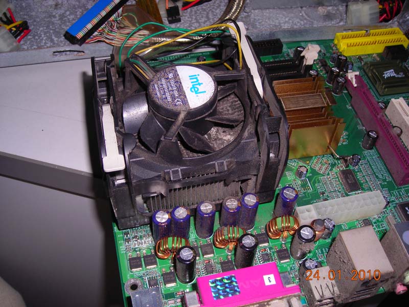 DSCN1993