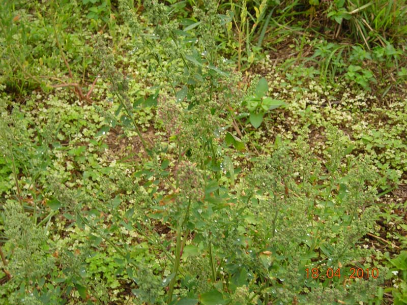 DSCN2006