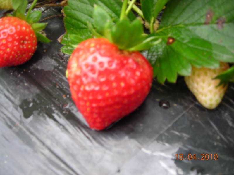 DSCN2021