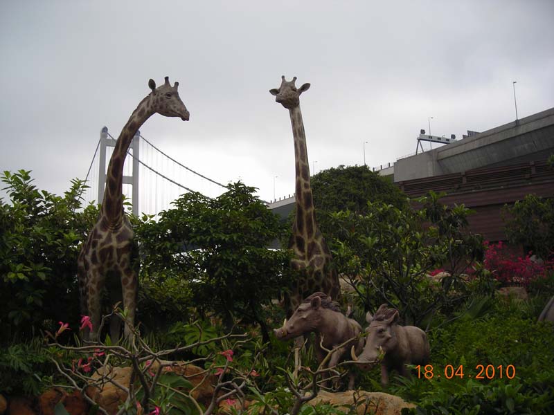 DSCN2033