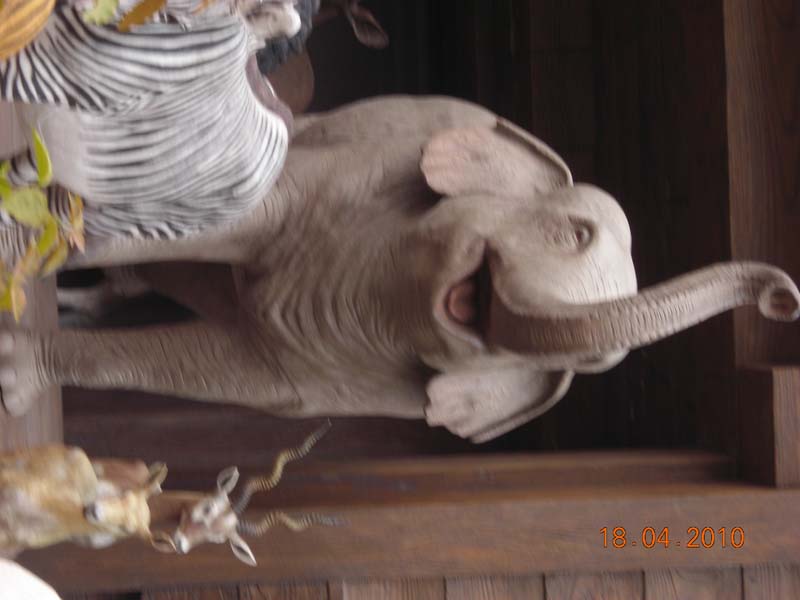 DSCN2045