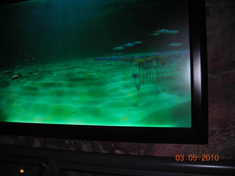DSCN2051