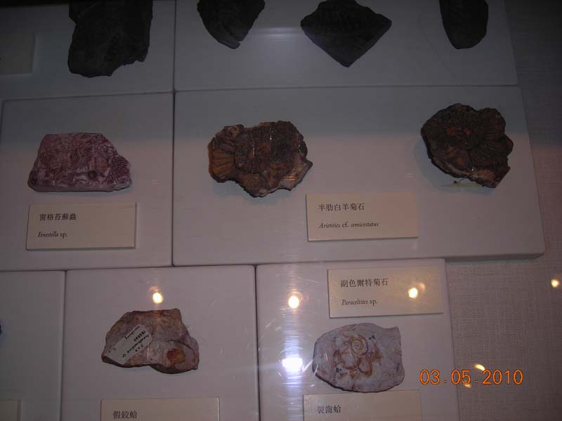 DSCN2056