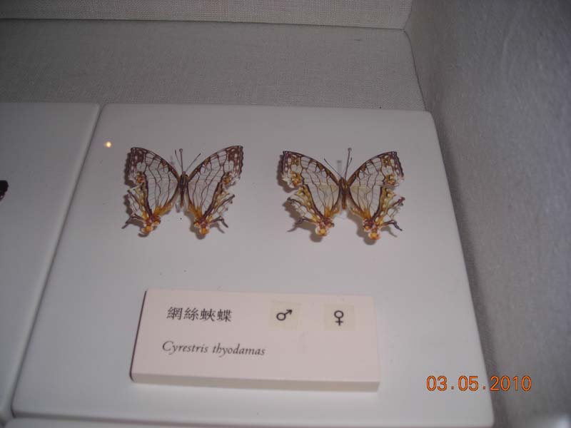 DSCN2057