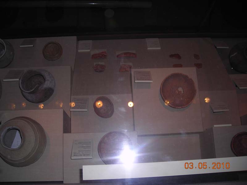 DSCN2061