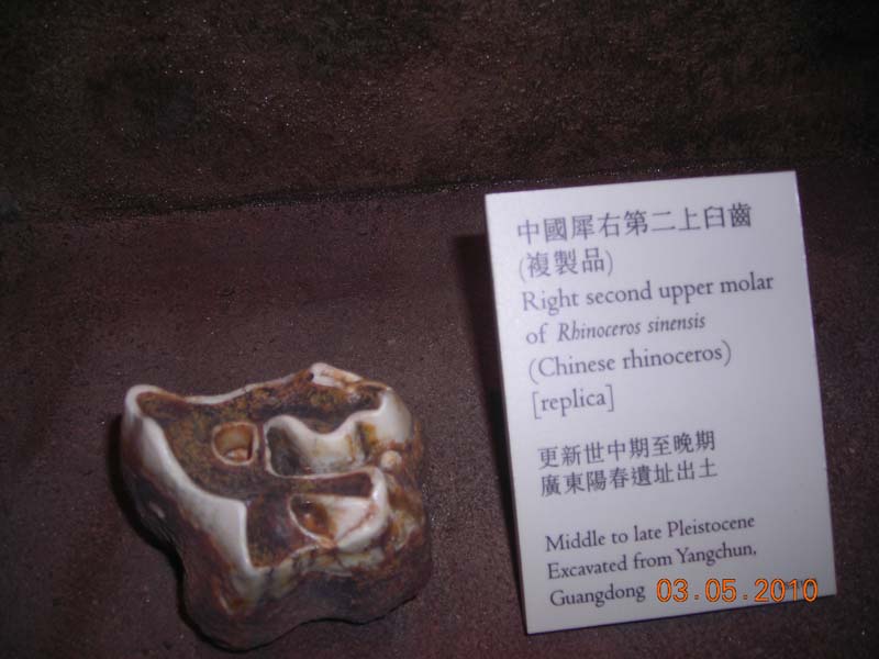 DSCN2063