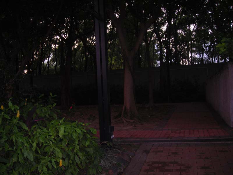 DSCN2149