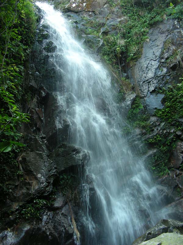 DSCN8985