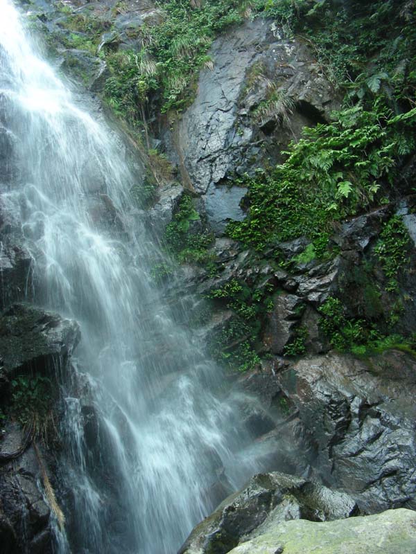 DSCN8986