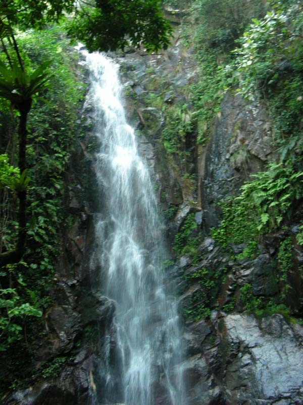 DSCN8989