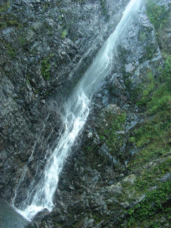 DSCN8993