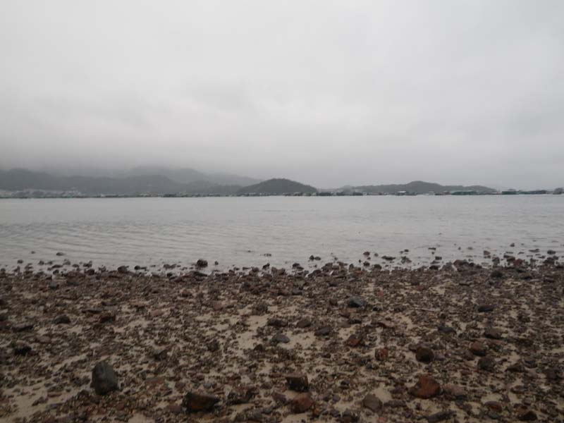 IMGP0648