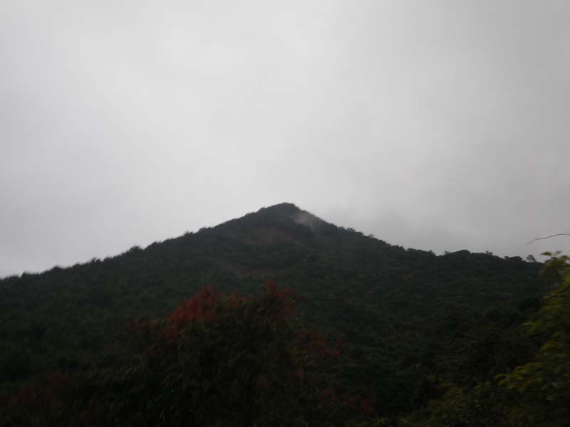 IMGP0651