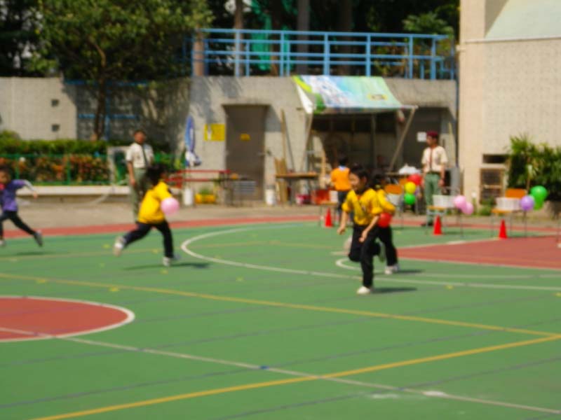 IMGP0985