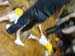 SAM_1051