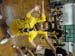 SAM_1061
