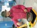 DSCN2229