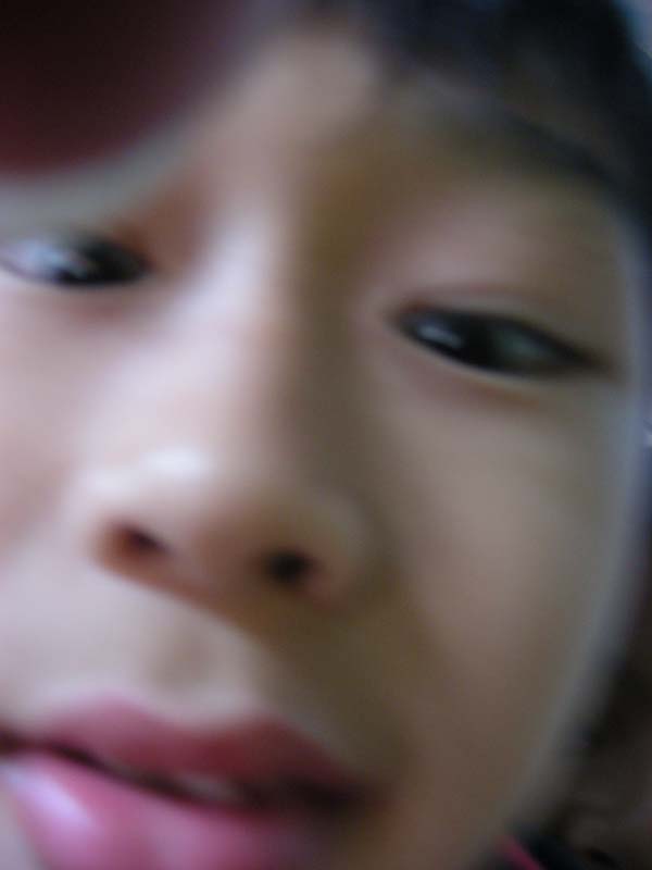 DSCN7803