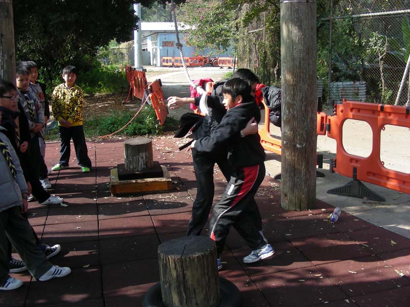 DSCN7907