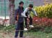 DSCN7956